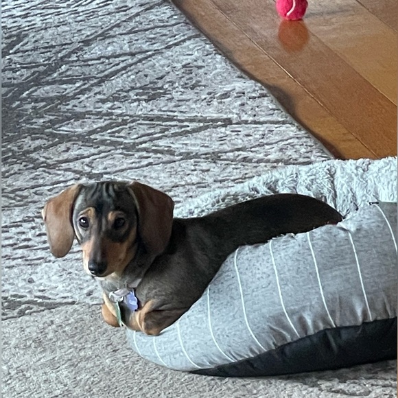 our home owners - Picture 7 of 7